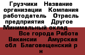 Грузчики › Название организации ­ Компания-работодатель › Отрасль предприятия ­ Другое › Минимальный оклад ­ 100 000 - Все города Работа » Вакансии   . Амурская обл.,Благовещенский р-н